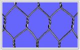 Hexagonal Wire Netting 